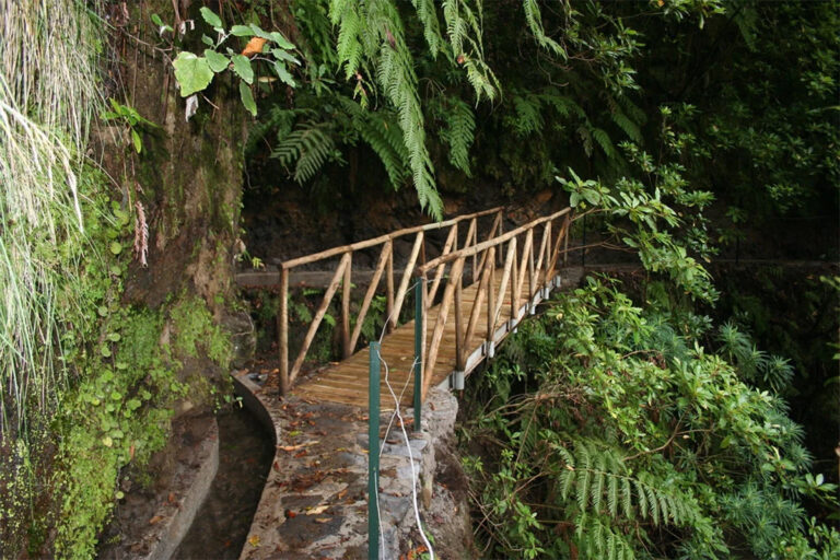 Levada do Cedros