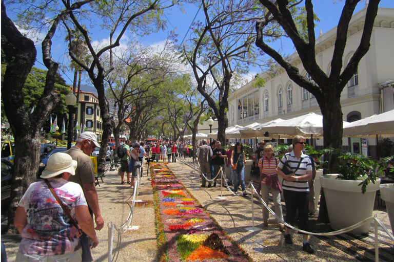 tapetes_festa_da_flor2